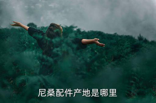 尼桑配件产地是哪里