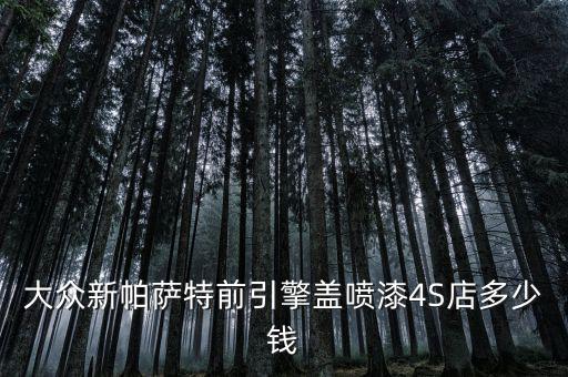 大众新帕萨特前引擎盖喷漆4S店多少钱