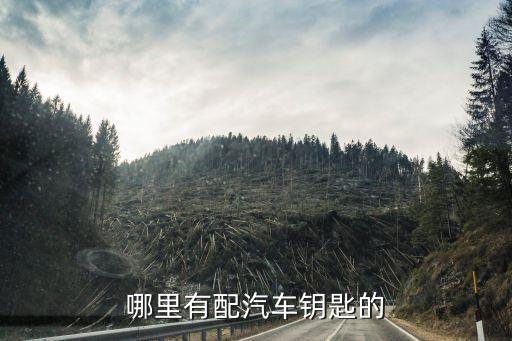 哪里有配汽车钥匙的