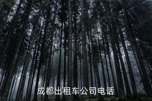 成都出租车公司电话