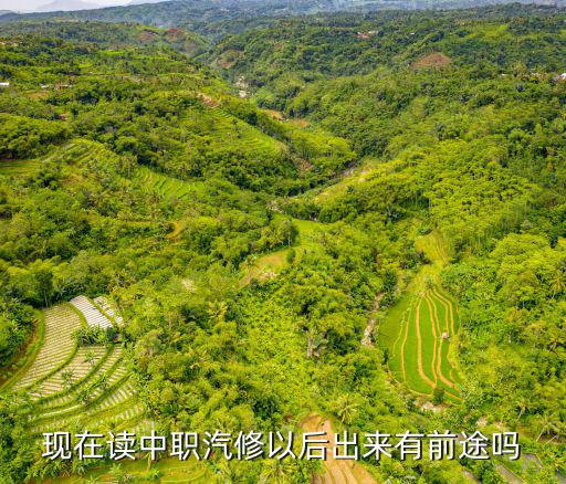 现在读中职汽修以后出来有前途吗