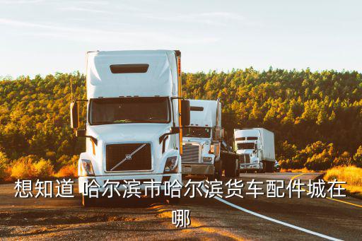 想知道 哈尔滨市哈尔滨货车配件城在哪