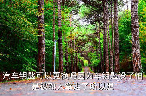汽车钥匙可以更换吗因为车钥匙没了怕是被熟人拿走了所以想