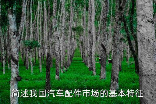 简述我国汽车配件市场的基本特征