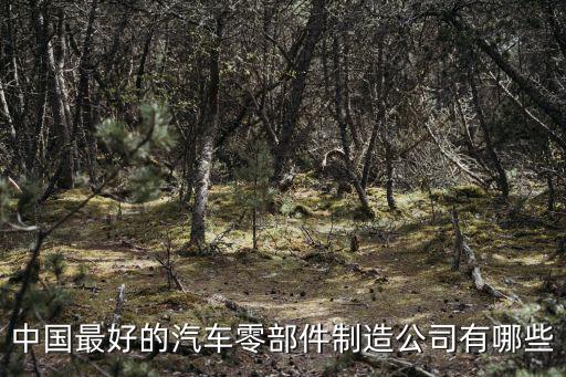 中国最好的汽车零部件制造公司有哪些