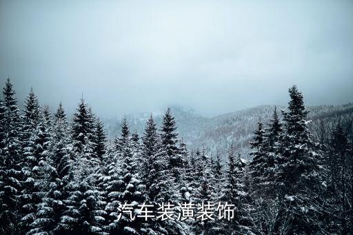 汽车装潢装饰