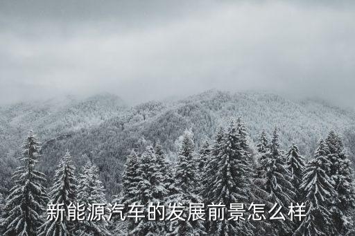 新能源汽车行业发展前景分析，新能源汽车专业就业前景