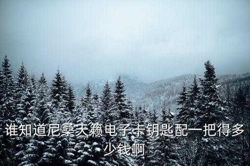 谁知道尼桑天籁电子卡钥匙配一把得多少钱啊