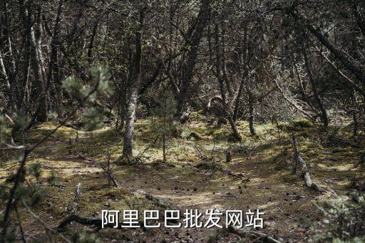 阿里巴巴批发网站