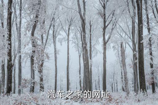 汽车之家的网址