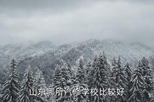 山东哪所汽修学校比较好
