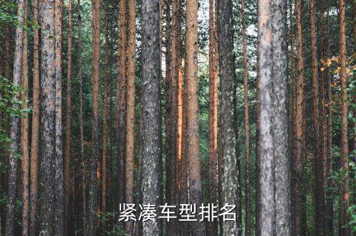 紧凑车型排名