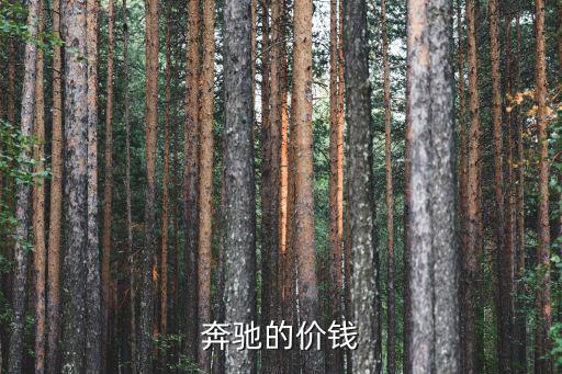 奔驰的价钱