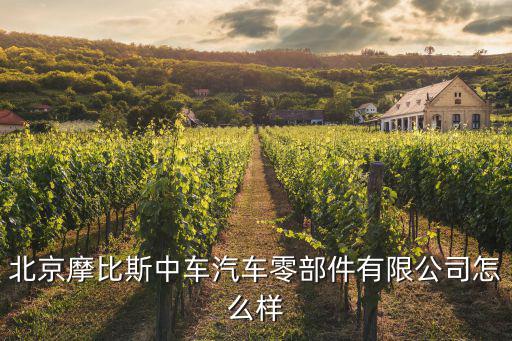 北京摩比斯中车汽车零部件有限公司怎么样