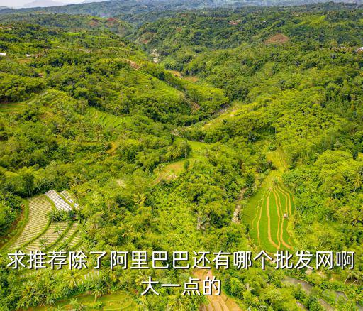 批发网平台，批发网站有哪些