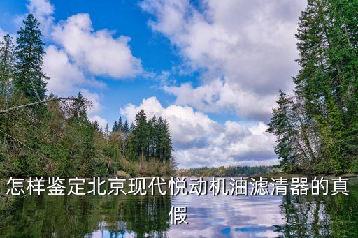 怎样鉴定北京现代悦动机油滤清器的真假