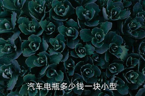 汽车电瓶多少钱一块小型