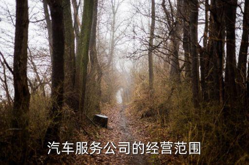 汽车服务公司的经营范围