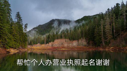 个人营业执照名字大全三个字，帮忙个人办营业执照起名谢谢