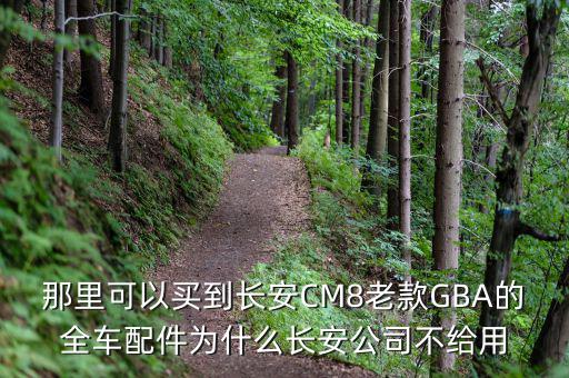 那里可以买到长安CM8老款GBA的全车配件为什么长安公司不给用