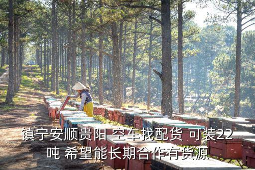 镇宁安顺贵阳 空车找配货 可装22吨 希望能长期合作有货源