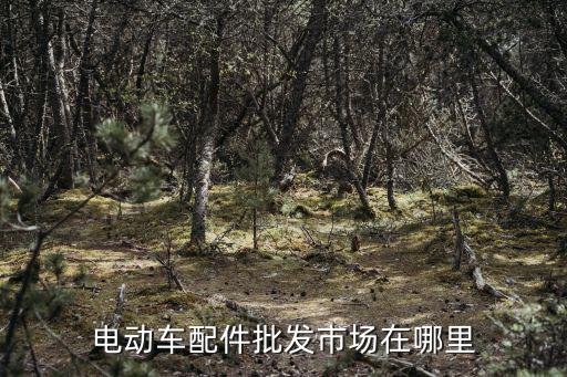 电动车配件批发市场在哪里