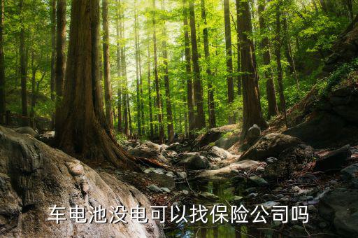 汽车电瓶没电了可以找保险公司吗，车电池没电可以找保险公司吗