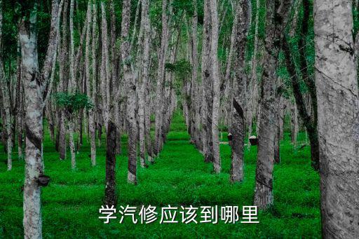 学汽修应该到哪里