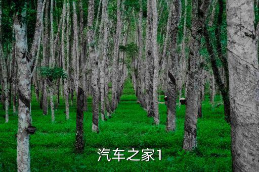 汽车之家1