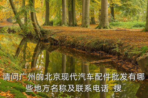 请问广州的北京现代汽车配件批发有哪些地方名称及联系电话  搜