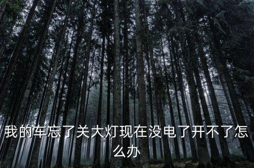 车灯忘关了蓄电池没电了怎么办，电池没电了怎么办昨晚忘记关车灯开了有4 5
