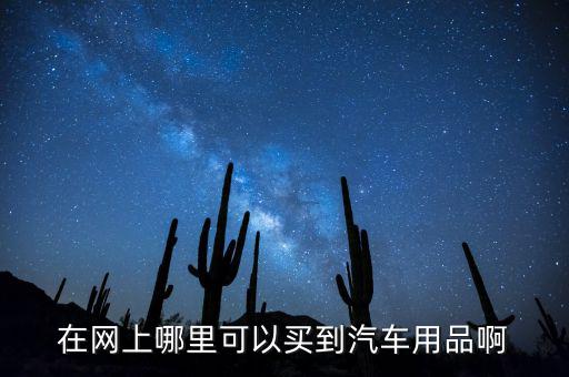 在网上哪里可以买到汽车用品啊