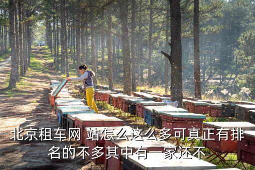 北京租车网 站怎么这么多可真正有排名的不多其中有一家还不