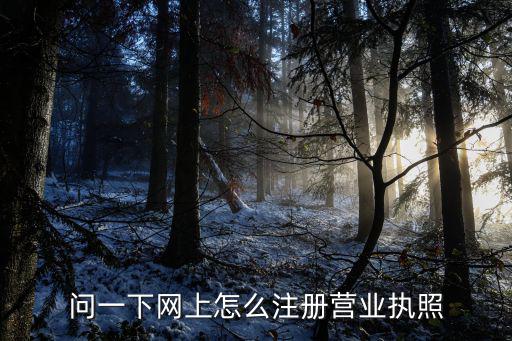 问一下网上怎么注册营业执照