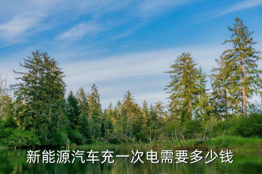 新能源汽车充一次电需要多少钱