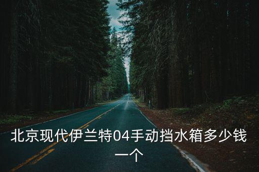 北京现代伊兰特04手动挡水箱多少钱一个