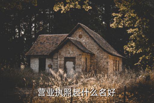 营业执照起什么名好