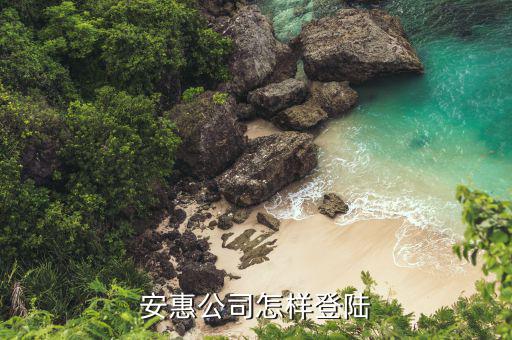 安惠公司怎样登陆