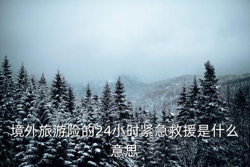 境外旅游险的24小时紧急救援是什么意思