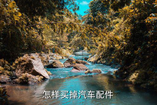 怎样买汽车配件，怎样买掉汽车配件
