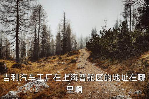 吉利汽车工厂在上海普舵区的地址在哪里啊