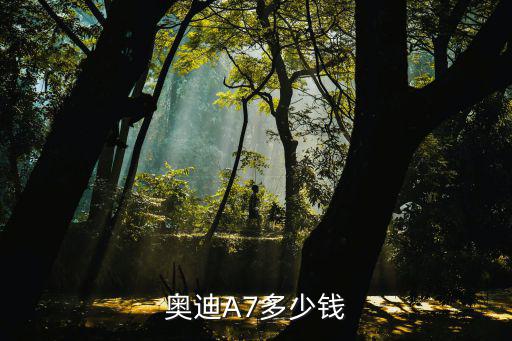 奥迪a7汽车之家报价，奥迪A7多少钱