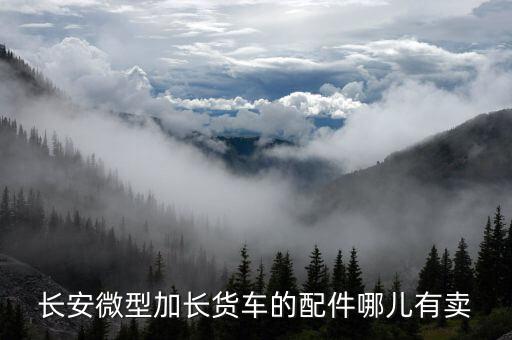 长安微型加长货车的配件哪儿有卖