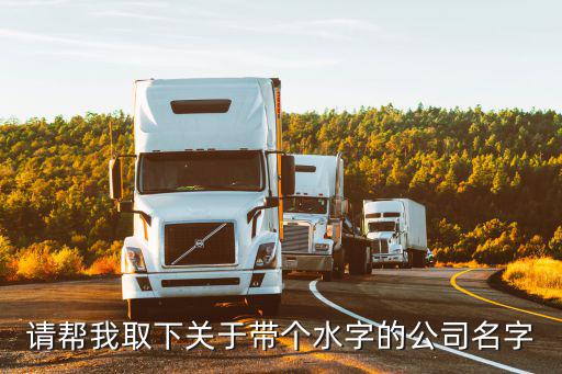 请帮我取下关于带个水字的公司名字