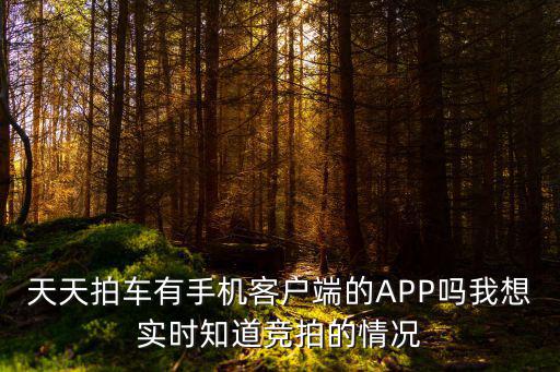 天天拍车有手机客户端的APP吗我想实时知道竞拍的情况