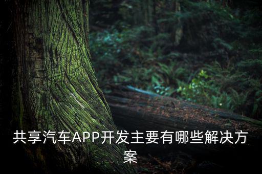 车主服务app的方案设计，汽车客户端的手机软件设计有推荐的公司吗