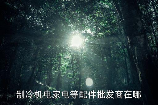制冷机电家电等配件批发商在哪