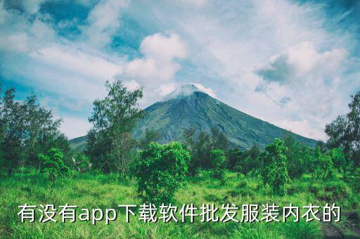 有没有app下载软件批发服装内衣的