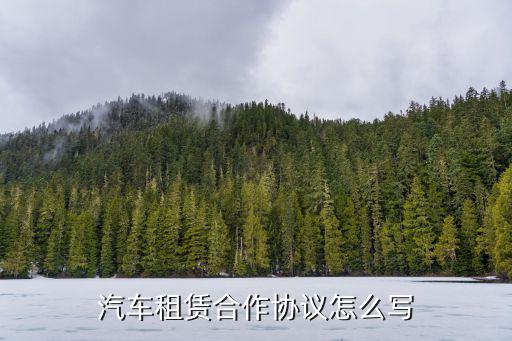 汽车租赁合作协议怎么写