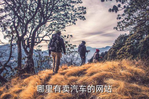 哪里有卖汽车的网站